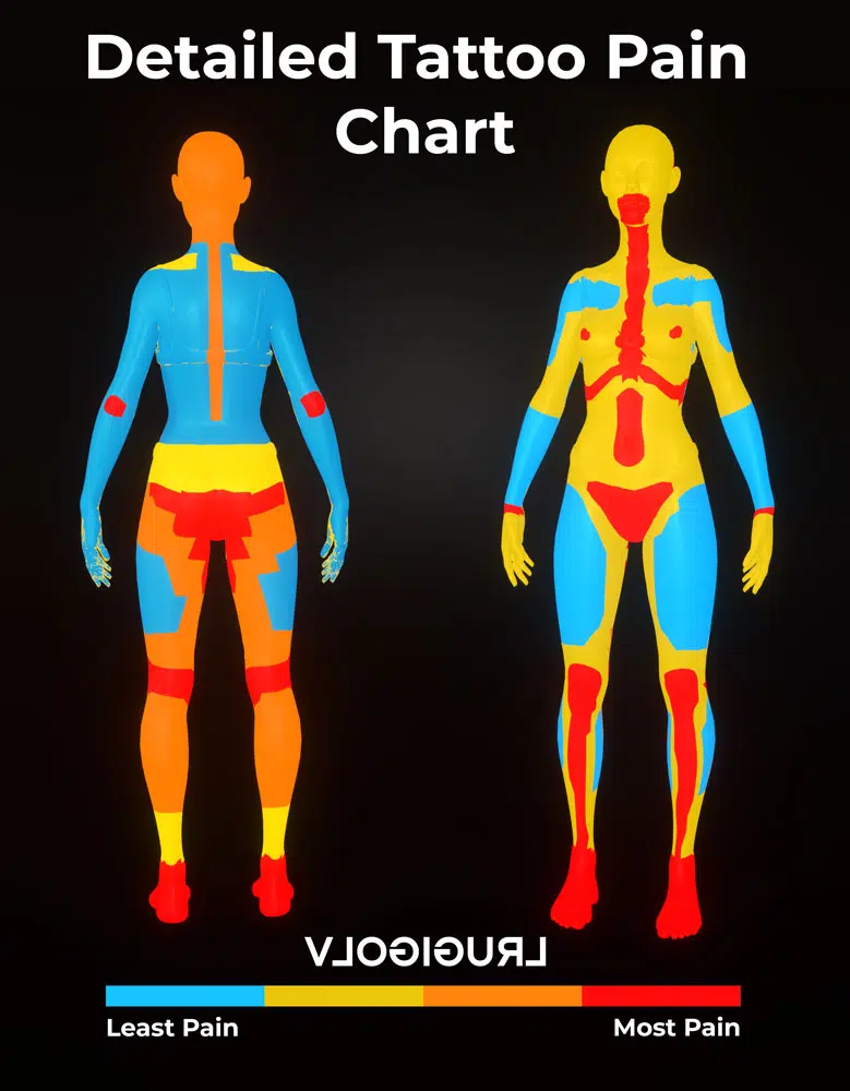 Detailed Tattoo Pain Chart